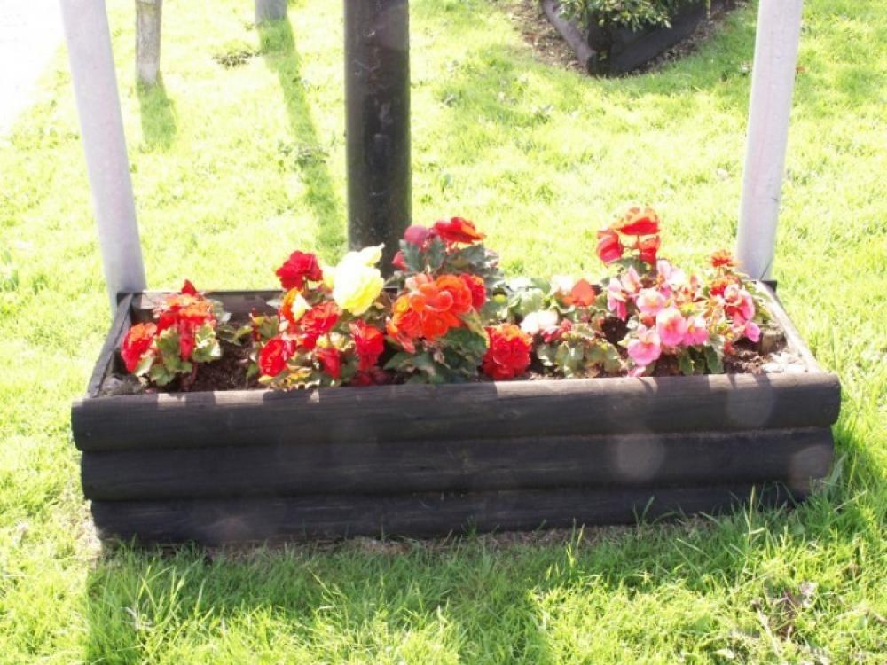 Floral Features 2013 Main Photo